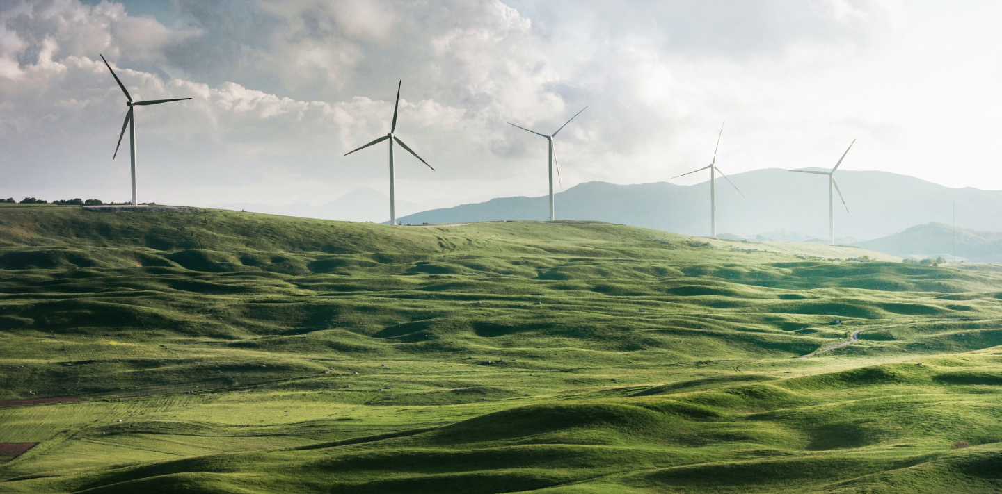 Sürdürülebilirlik